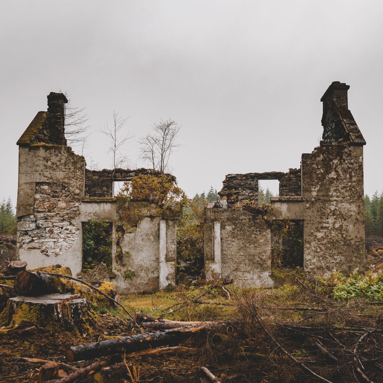 Disrepairs